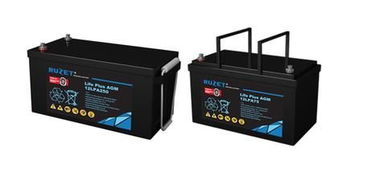 法国路盛蓄电池12lpa100a