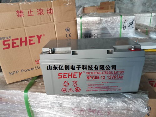 Sehey NPG65-12 12V65Ah系列工业蓄电池全面解析